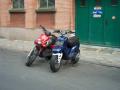 stunt